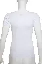13 (1).webp