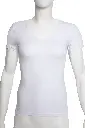 11 (1).webp